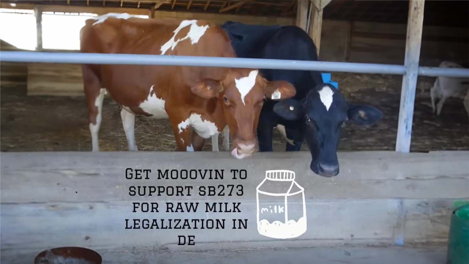 Delaware bill to legalize raw milk direct-to-consumer sales