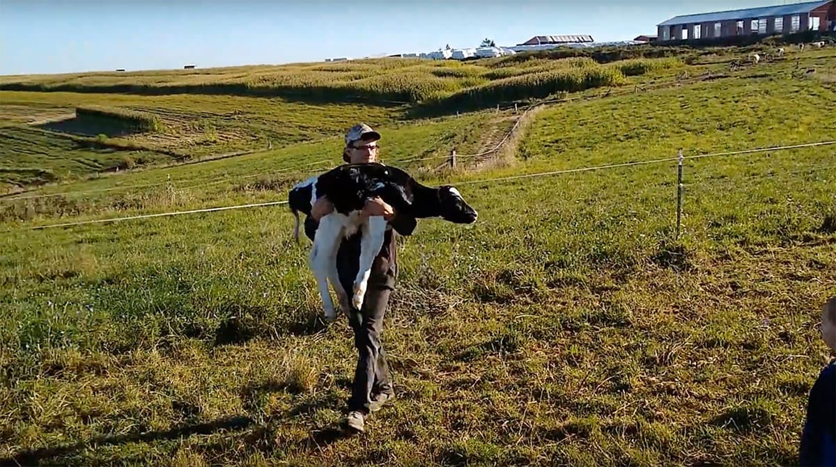 Raw milk gains ally with the Wisconsin Farm Bureau