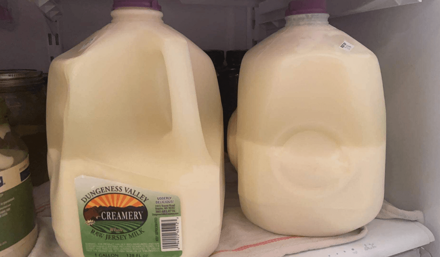 Can raw milk be frozen? Alternatives for medium-long term storage