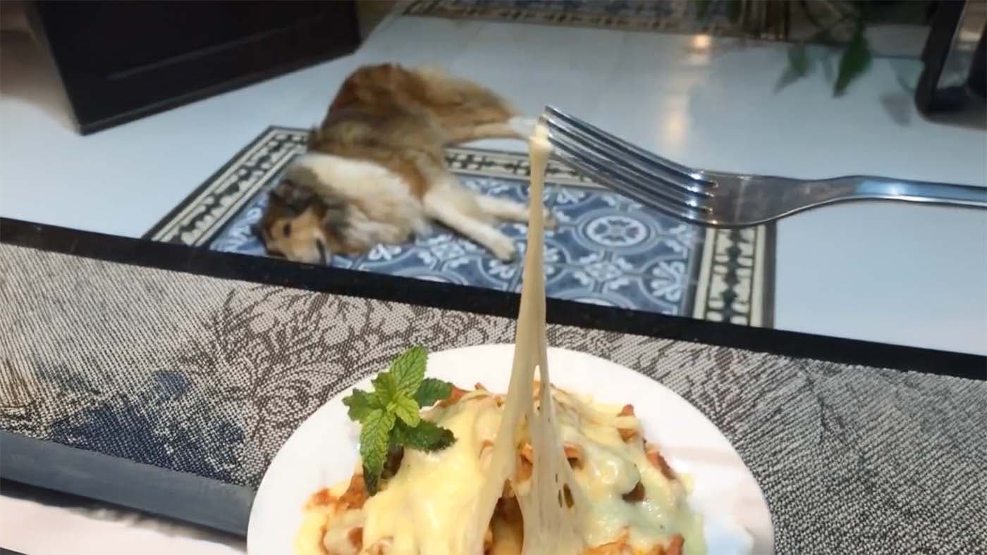 25-year neurology study shows high-fat dairy reduces all-cause dementia and Alzheimer’s risk
