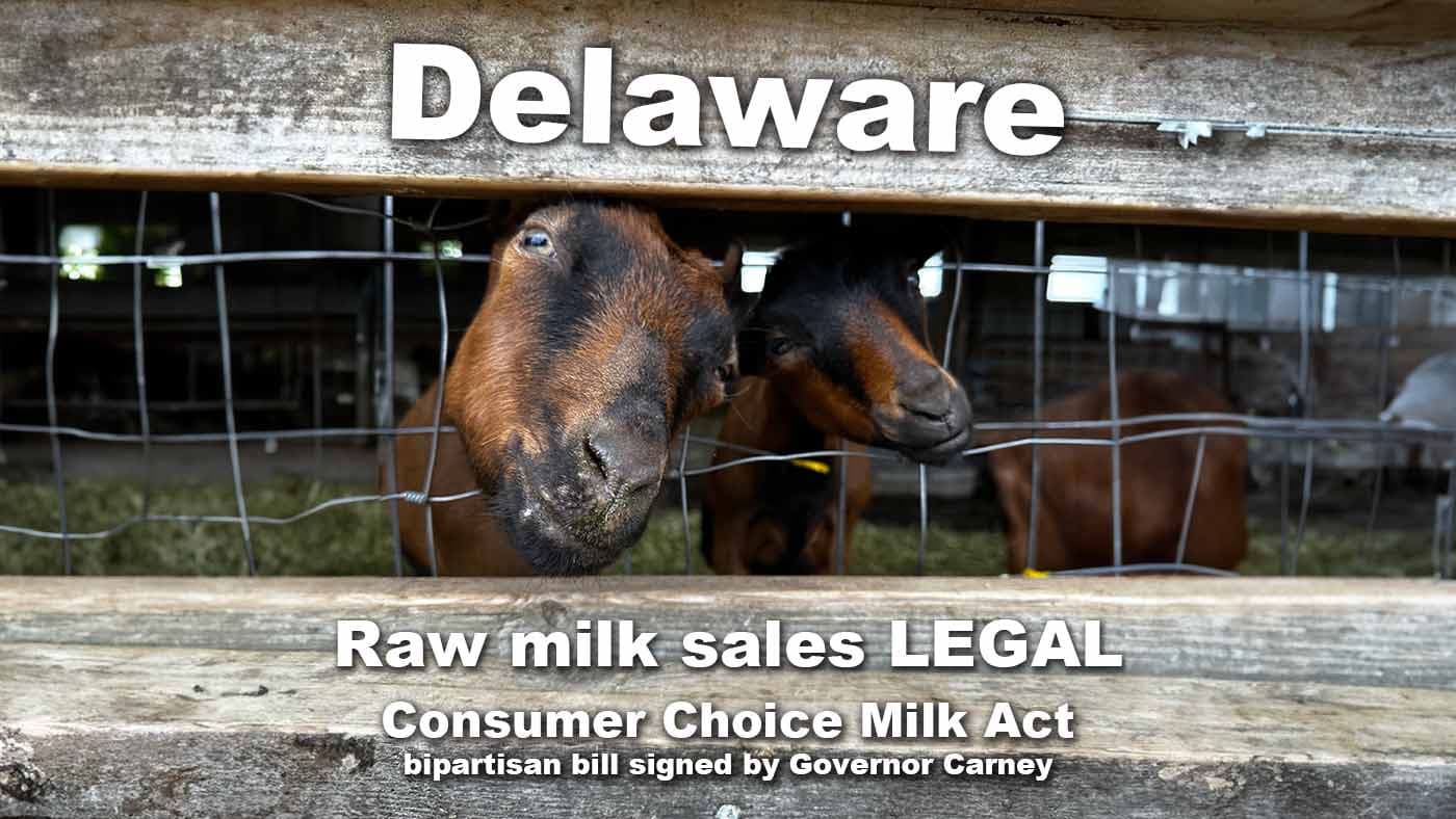 Raw milk sales legalized in Delaware