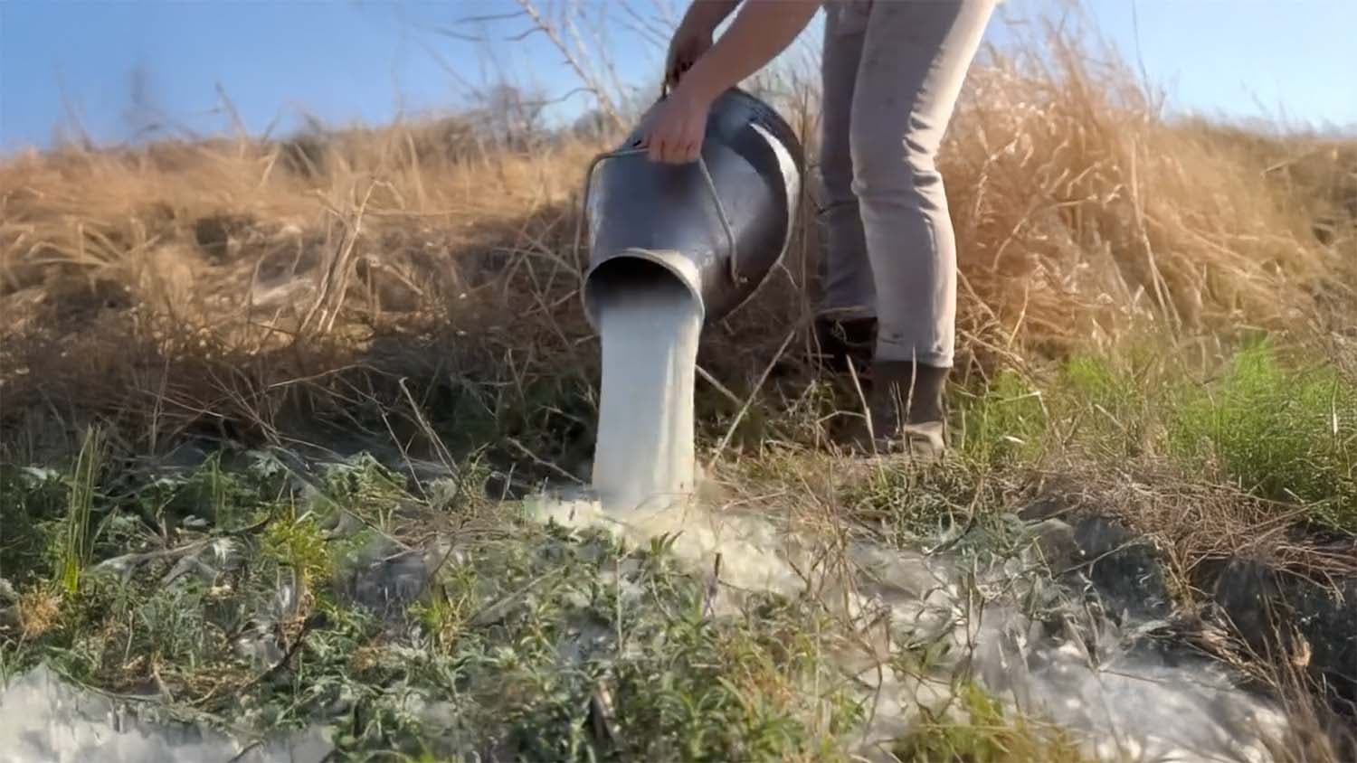 Like Wildflowers Homestead is urging Texans to submit public comments to the Texas Sunset Commission as the farmer suggests a competing dairy may have filed the complaint that triggered the DSHS enforcement action.
