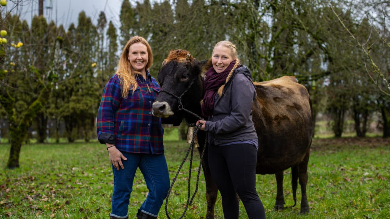 Oregon raw milk farmers ordered to register as CAFOs at the request of big dairy Oregon raw milk farmers ordered to register as CAFOs at the request of big dairy